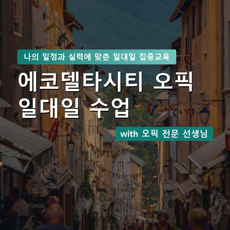 에코델타시티 오픽과외 — 영과전 1:1 맞춤 수업 안내 이미지