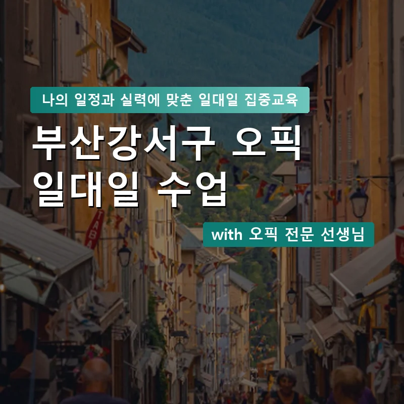 부산강서구 오픽과외 — 영과전 1:1 맞춤 수업 안내 이미지