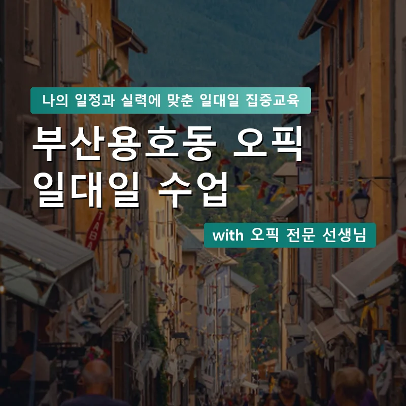 부산용호동 오픽과외 — 영과전 1:1 맞춤 수업 안내 이미지