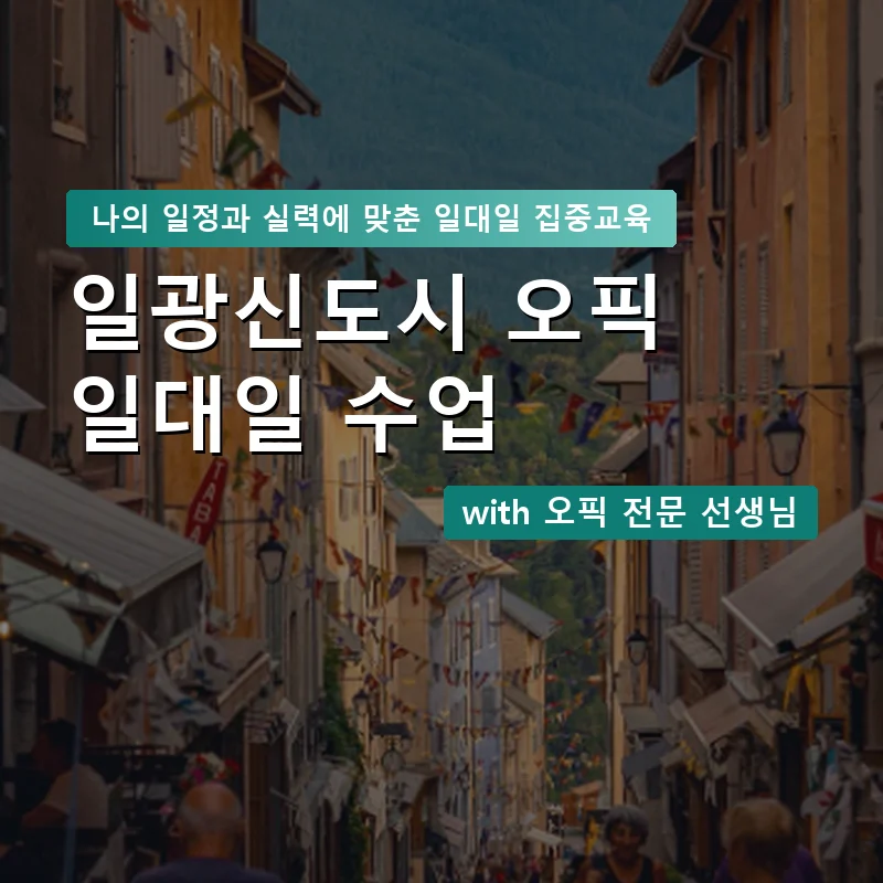 일광신도시 오픽과외 — 영과전 1:1 맞춤 수업 안내 이미지