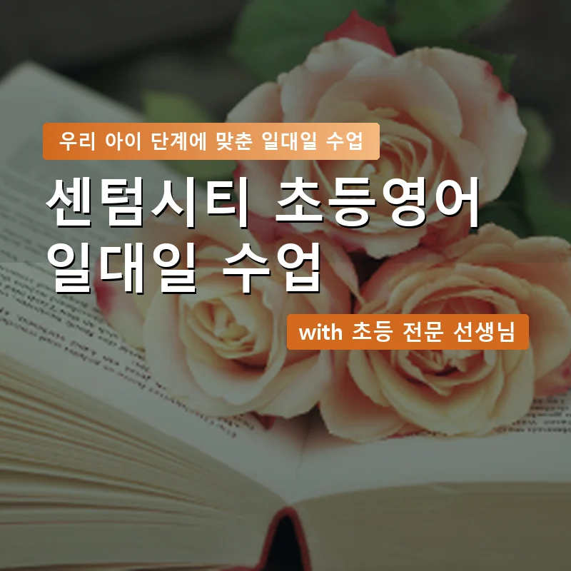 센텀시티 초등학생영어회화 — 영과전 1:1 맞춤 수업 안내 이미지