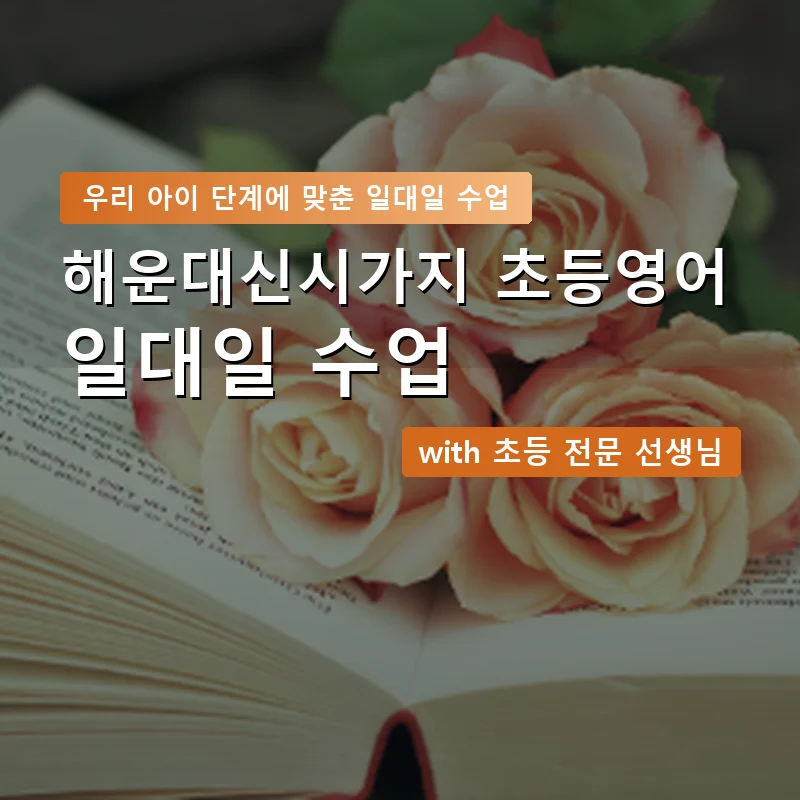 해운대신시가지 초등학생영어회화 — 영과전 1:1 맞춤 수업 안내 이미지