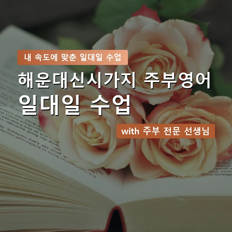 해운대신시가지 주부영어회화 — 영과전 1:1 맞춤 수업 안내 이미지