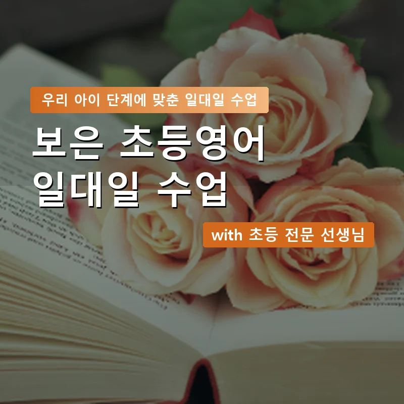 보은 초등학생영어회화 — 영과전 1:1 맞춤 수업 안내 이미지