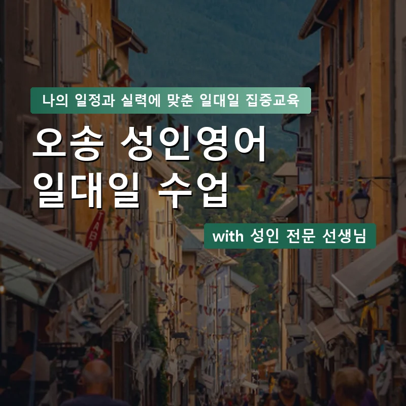오송 성인영어과외 — 영과전 1:1 맞춤 수업 안내 이미지