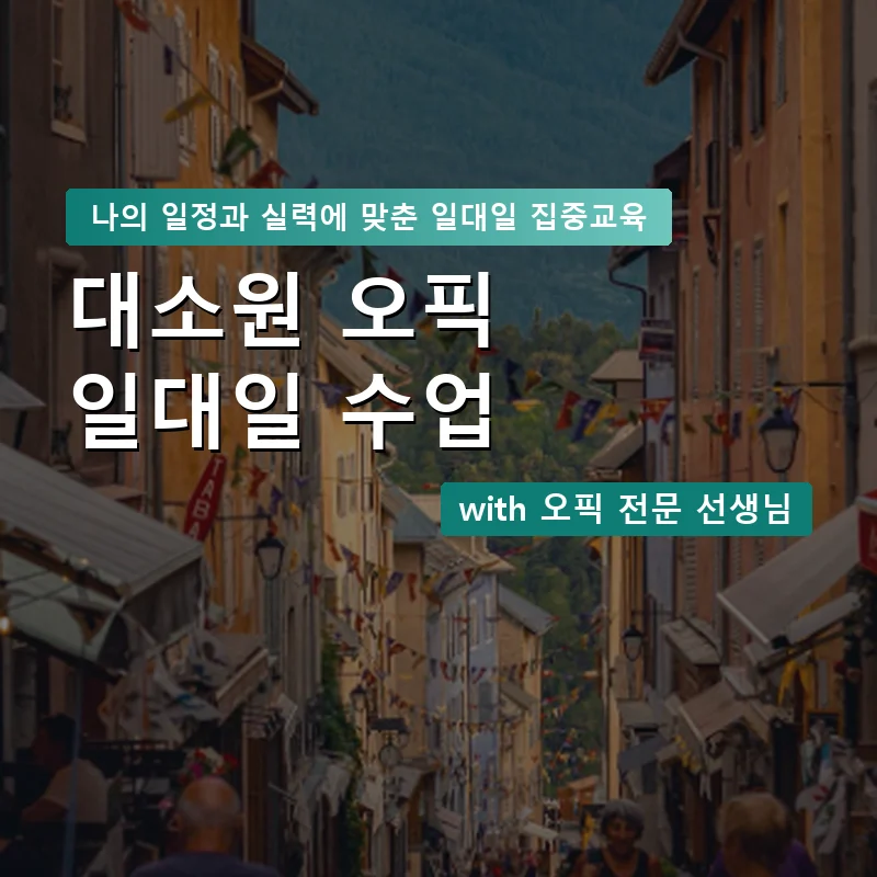 대소원 오픽과외 — 영과전 1:1 맞춤 수업 안내 이미지