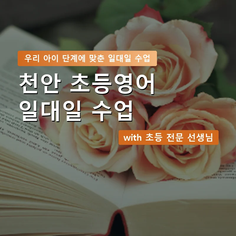천안 초등학생영어회화 — 영과전 1:1 맞춤 수업 안내 이미지