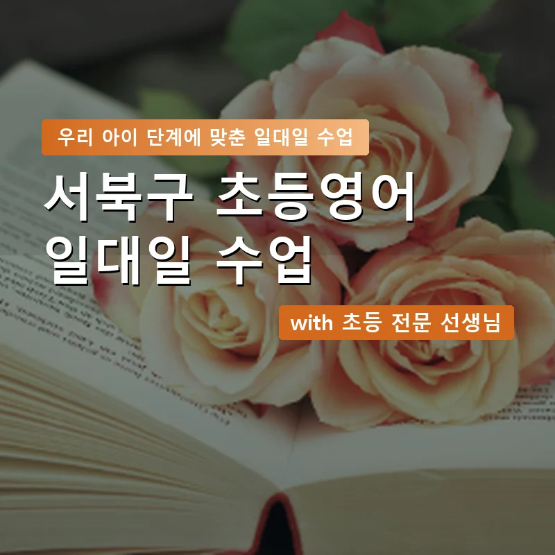 서북구 초등학생영어회화 — 영과전 1:1 맞춤 수업 안내 이미지