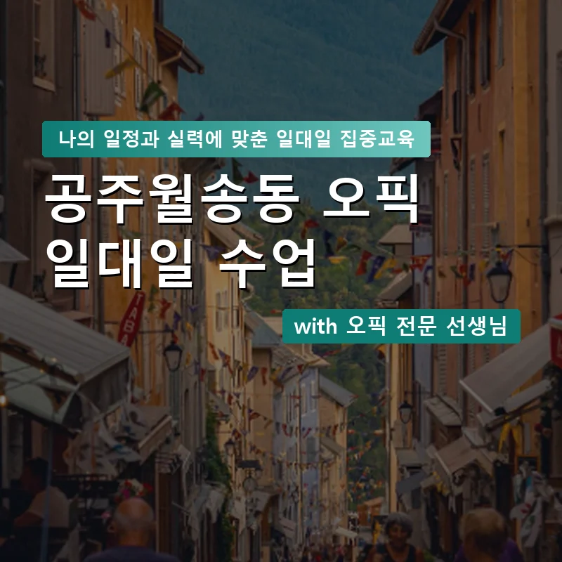 공주월송동 오픽과외 — 영과전 1:1 맞춤 수업 안내 이미지