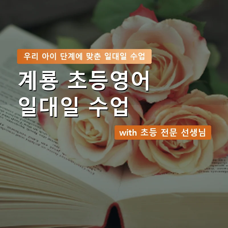 계룡 초등학생영어회화 — 영과전 1:1 맞춤 수업 안내 이미지