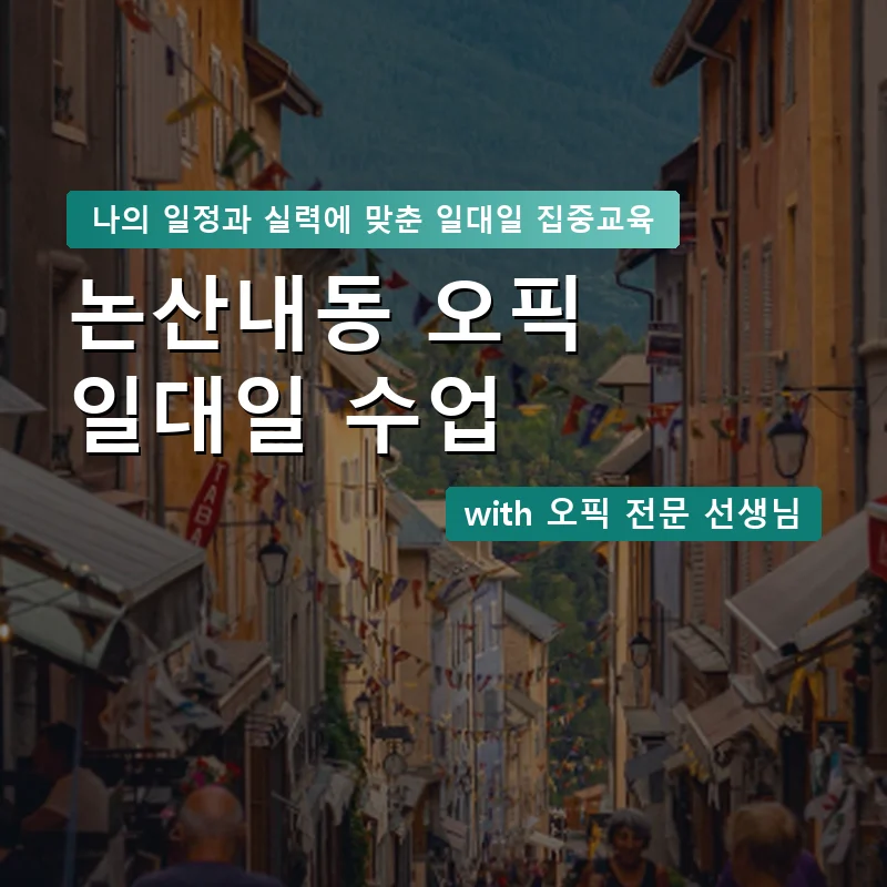 논산내동 오픽과외 — 영과전 1:1 맞춤 수업 안내 이미지