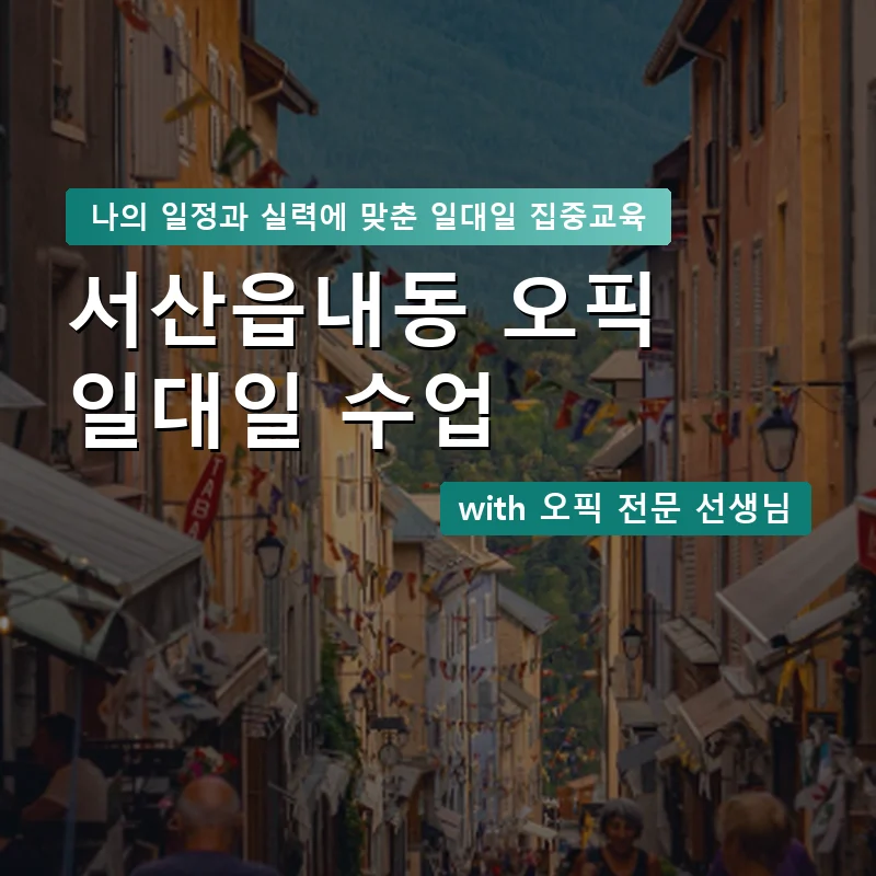 서산읍내동 오픽과외 — 영과전 1:1 맞춤 수업 안내 이미지