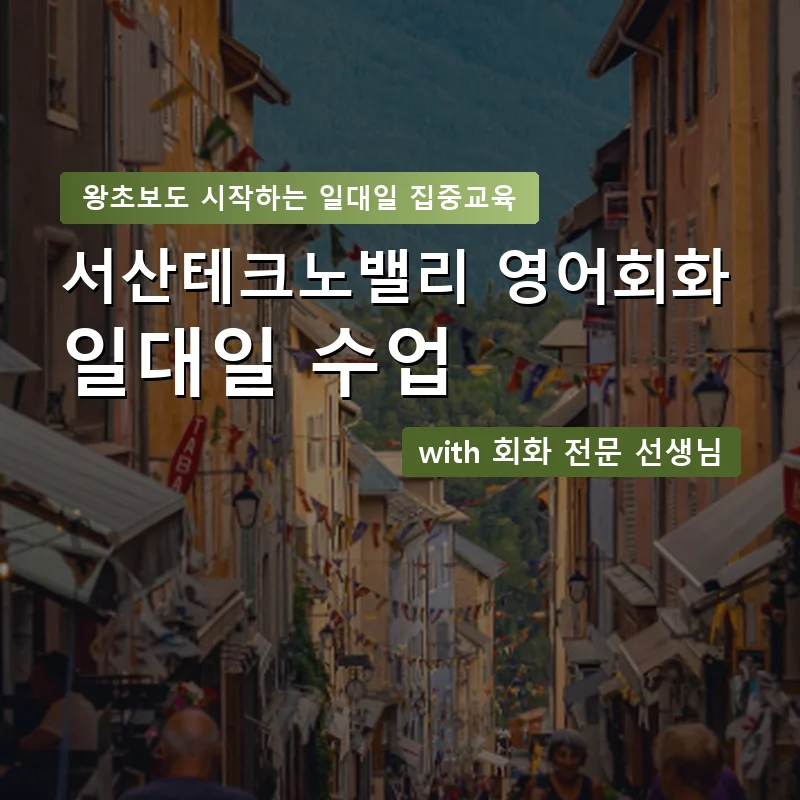 서산테크노밸리 1:1 영어회화과외 — 영과전 1:1 맞춤 수업 안내 이미지