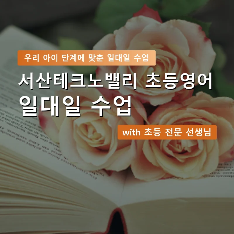 서산테크노밸리 초등학생영어회화 — 영과전 1:1 맞춤 수업 안내 이미지