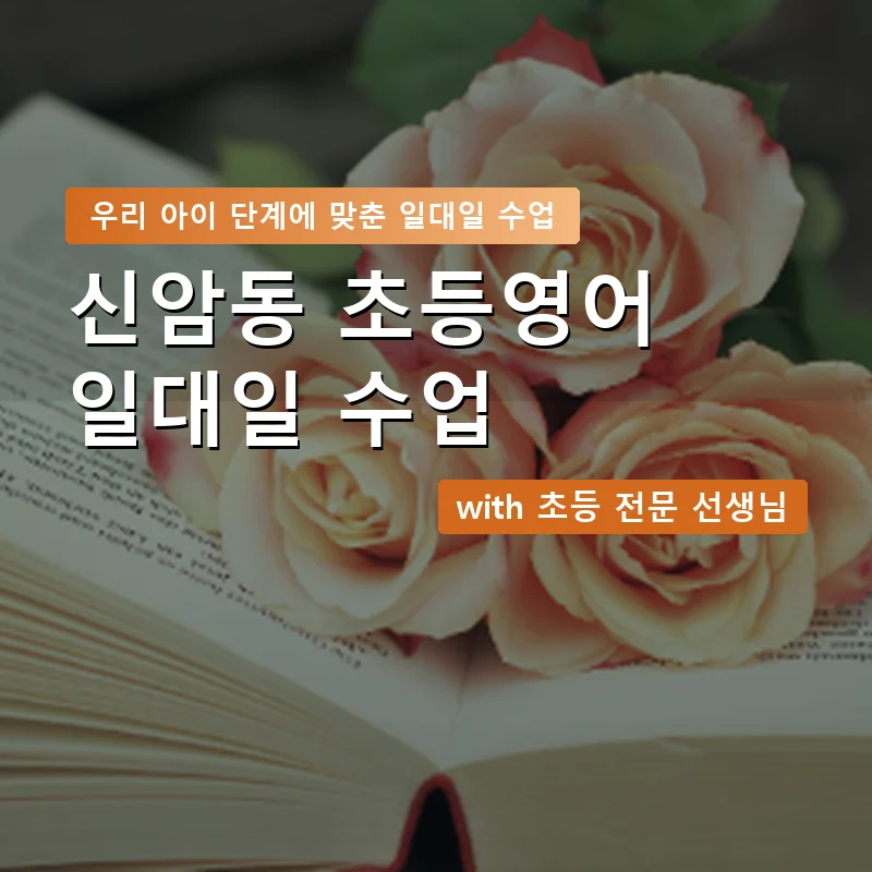신암동 초등학생영어회화 — 영과전 1:1 맞춤 수업 안내 이미지