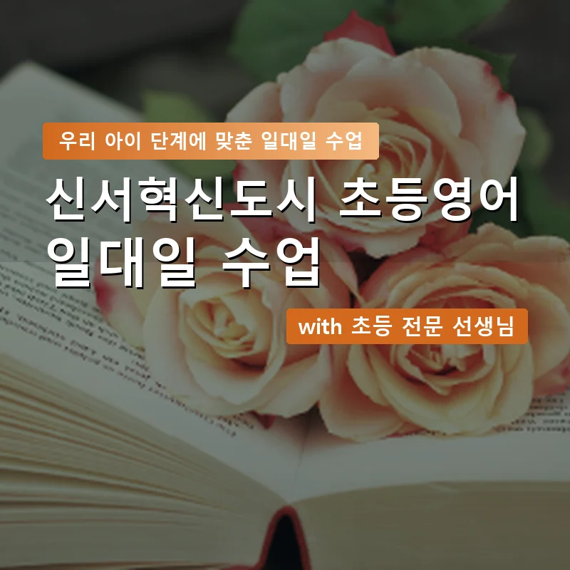 신서혁신도시 초등학생영어회화 — 영과전 1:1 맞춤 수업 안내 이미지
