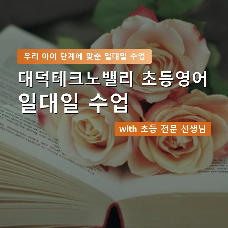 대덕테크노밸리 초등학생영어회화 — 영과전 1:1 맞춤 수업 안내 이미지