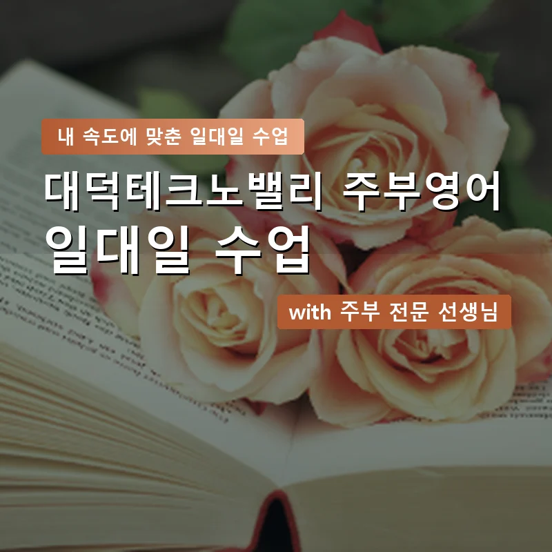 대덕테크노밸리 주부영어회화 — 영과전 1:1 맞춤 수업 안내 이미지