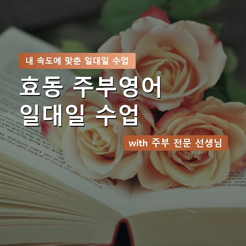 효동 주부영어회화 — 영과전 1:1 맞춤 수업 안내 이미지