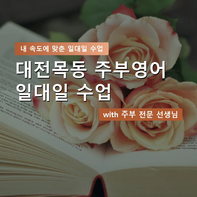 대전목동 주부영어회화 — 영과전 1:1 맞춤 수업 안내 이미지