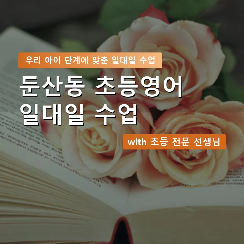 둔산동 초등학생영어회화 — 영과전 1:1 맞춤 수업 안내 이미지