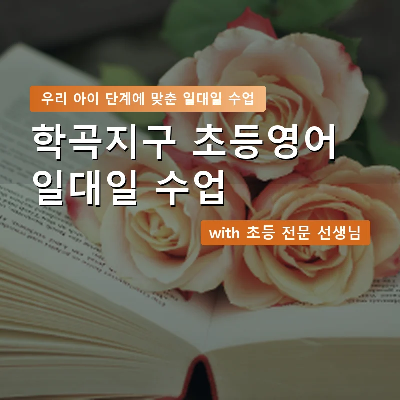 학곡지구 초등학생영어회화 — 영과전 1:1 맞춤 수업 안내 이미지