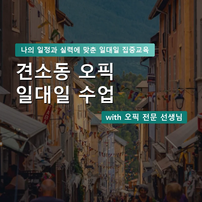 견소동 오픽과외 — 영과전 1:1 맞춤 수업 안내 이미지