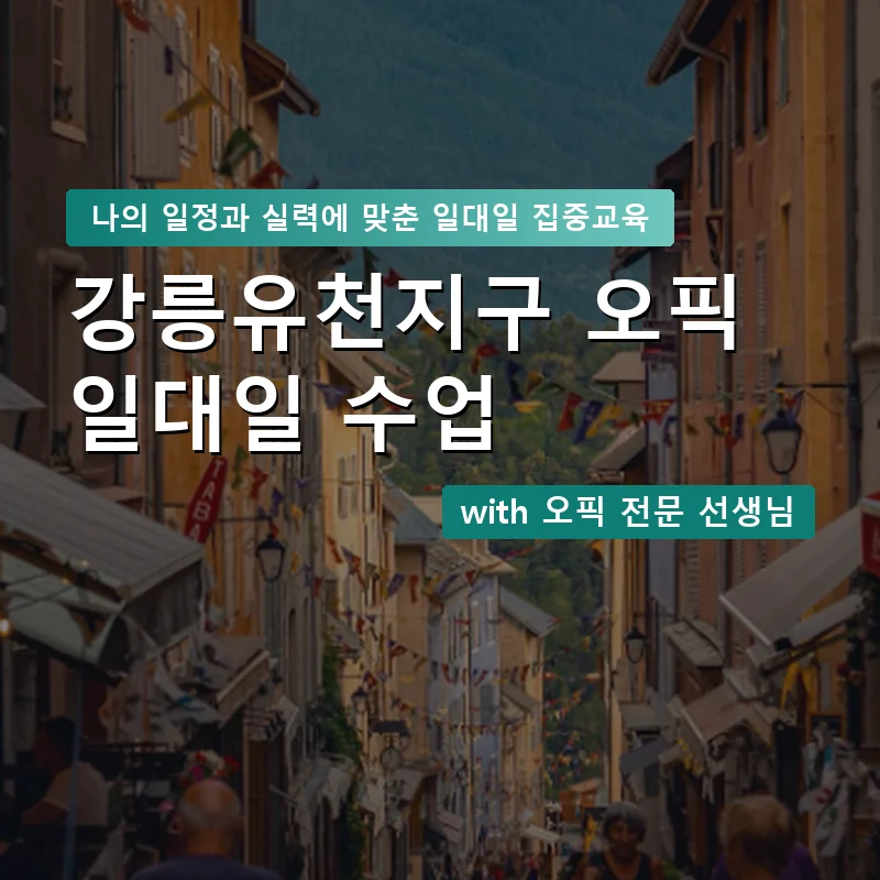 강릉유천지구 오픽과외 — 영과전 1:1 맞춤 수업 안내 이미지