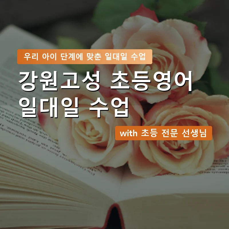 강원고성 초등학생영어회화 — 영과전 1:1 맞춤 수업 안내 이미지