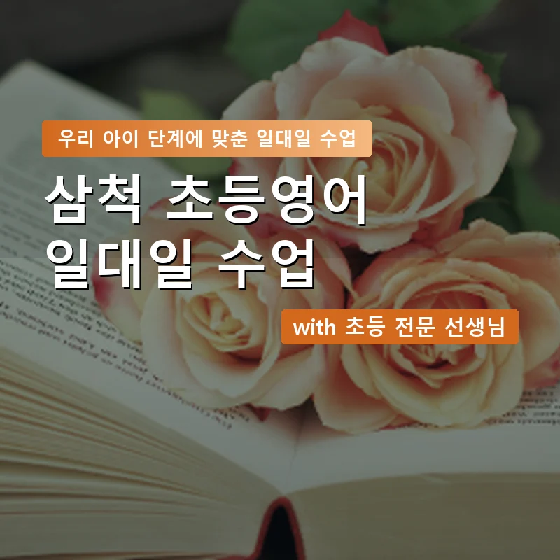 삼척 초등학생영어회화 — 영과전 1:1 맞춤 수업 안내 이미지