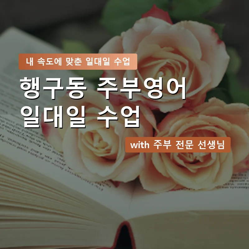 행구동 주부영어회화 — 영과전 1:1 맞춤 수업 안내 이미지