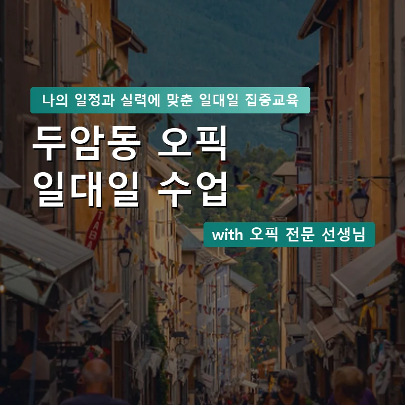 두암동 오픽과외 — 영과전 1:1 맞춤 수업 안내 이미지