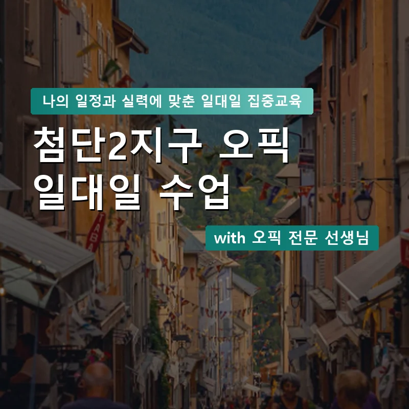 첨단2지구 오픽과외 — 영과전 1:1 맞춤 수업 안내 이미지