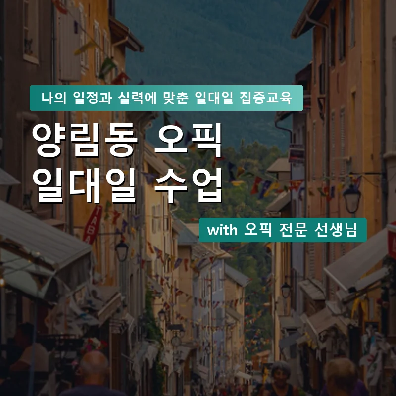 양림동 오픽과외 — 영과전 1:1 맞춤 수업 안내 이미지