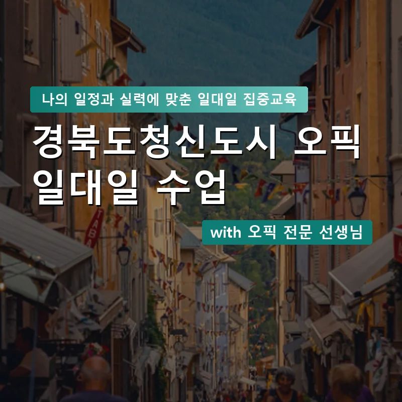 경북도청신도시 오픽과외 — 영과전 1:1 맞춤 수업 안내 이미지