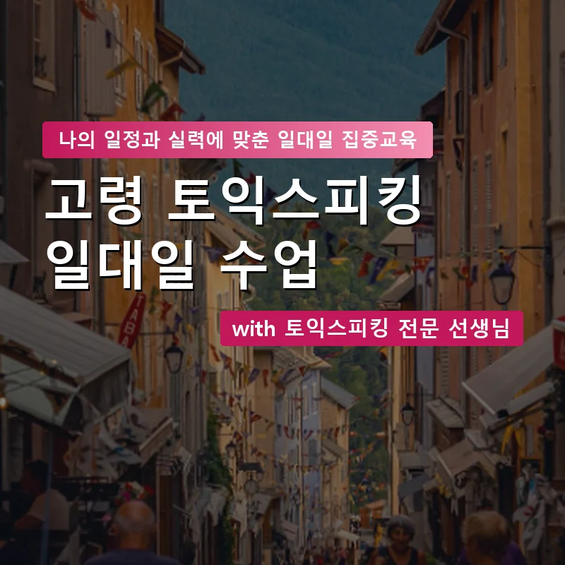 고령 토익스피킹과외 — 영과전 1:1 맞춤 수업 안내 이미지