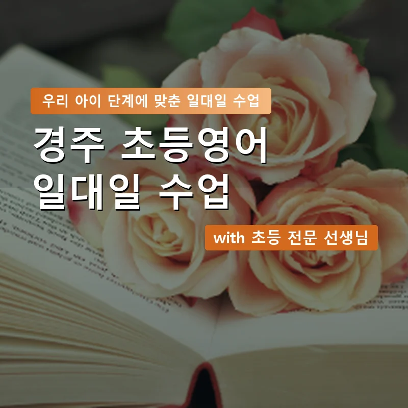 경주 초등학생영어회화 — 영과전 1:1 맞춤 수업 안내 이미지