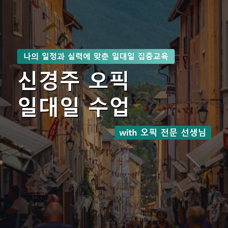 신경주 오픽과외 — 영과전 1:1 맞춤 수업 안내 이미지
