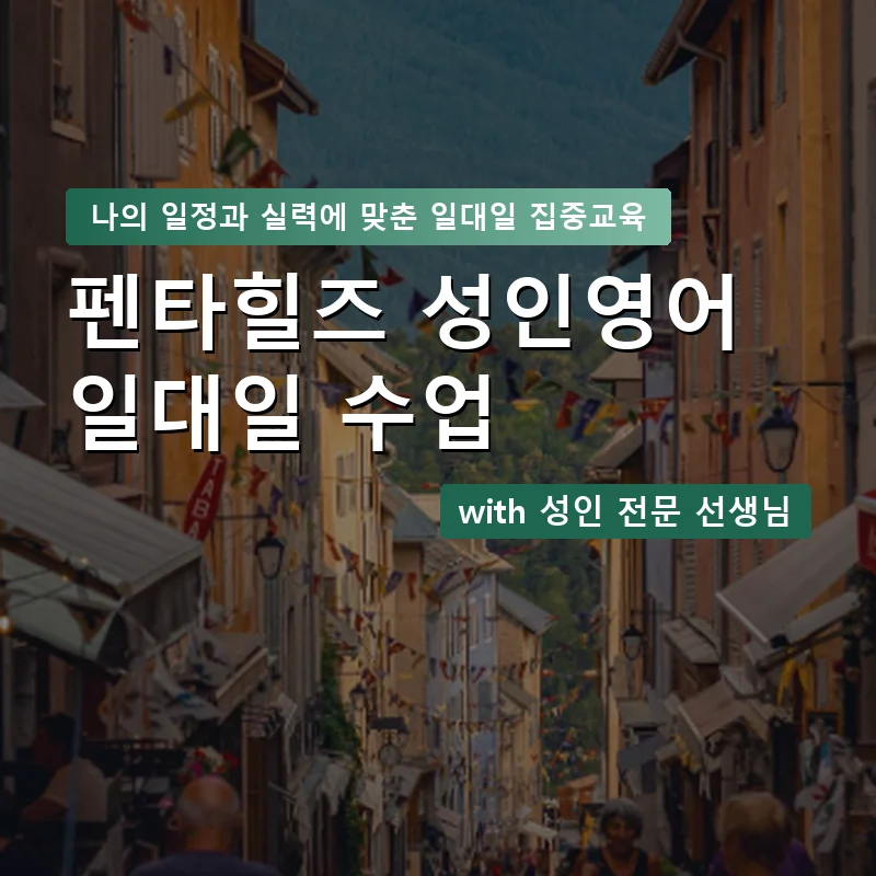 펜타힐즈 성인영어과외 — 영과전 1:1 맞춤 수업 안내 이미지