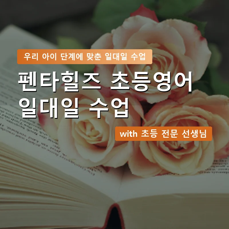 펜타힐즈 초등학생영어회화 — 영과전 1:1 맞춤 수업 안내 이미지