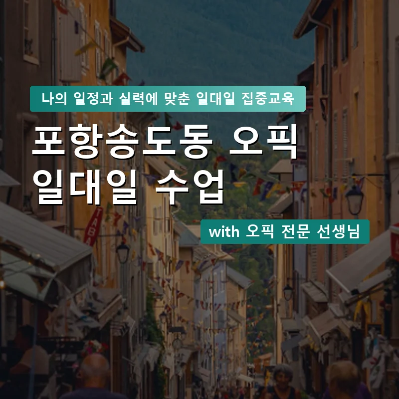 포항송도동 오픽과외 — 영과전 1:1 맞춤 수업 안내 이미지