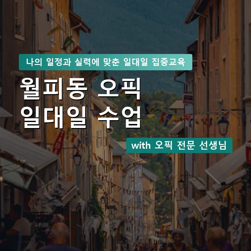 월피동 오픽과외 — 영과전 1:1 맞춤 수업 안내 이미지