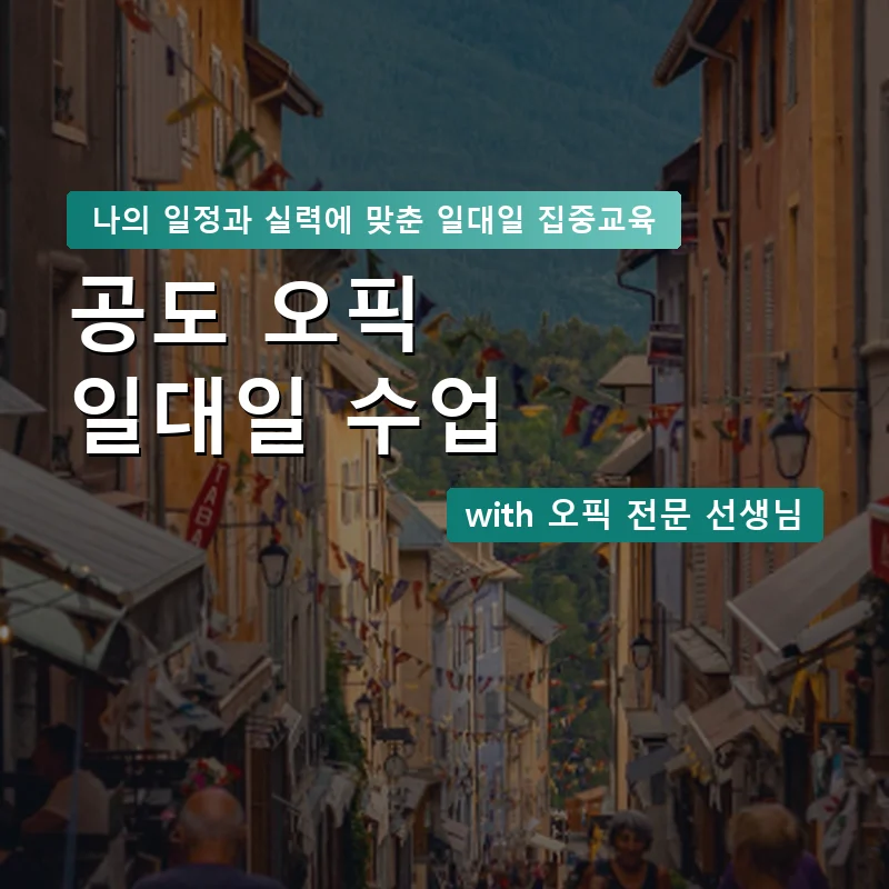 공도 오픽과외 — 영과전 1:1 맞춤 수업 안내 이미지