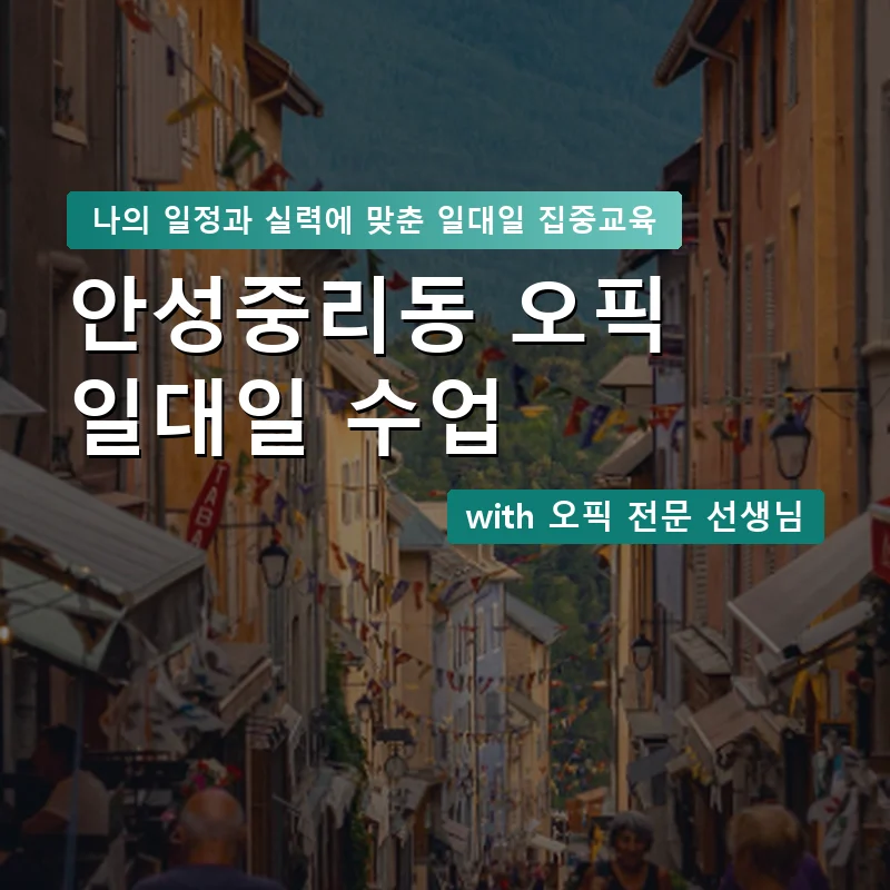 안성중리동 오픽과외 — 영과전 1:1 맞춤 수업 안내 이미지