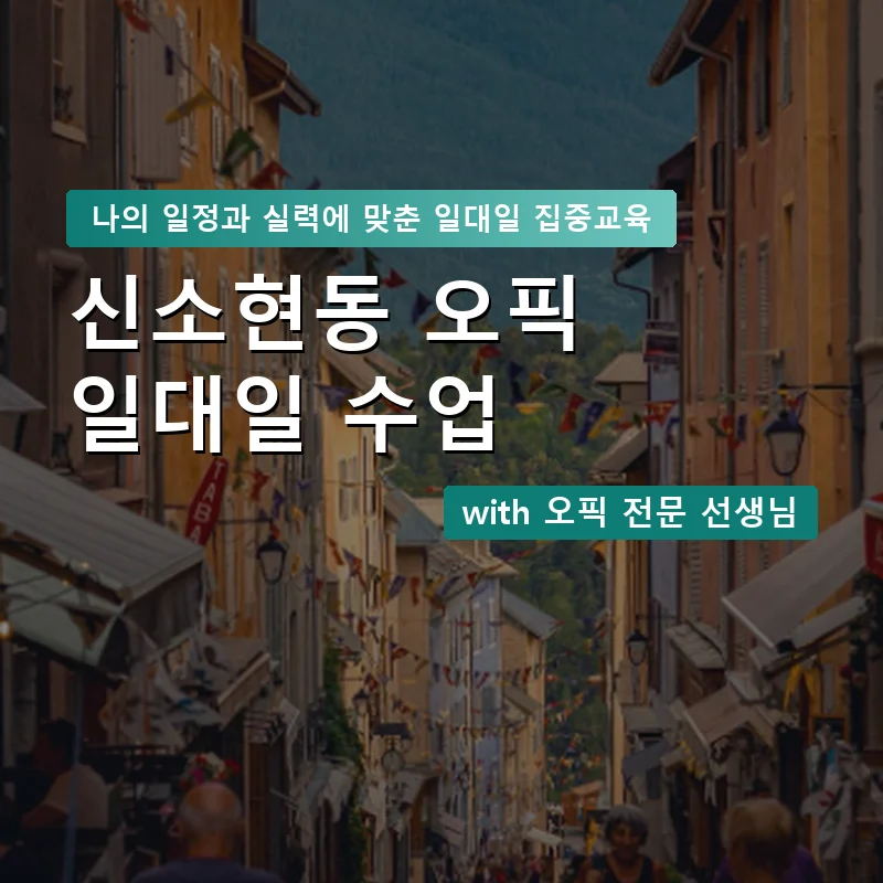 신소현동 오픽과외 — 영과전 1:1 맞춤 수업 안내 이미지
