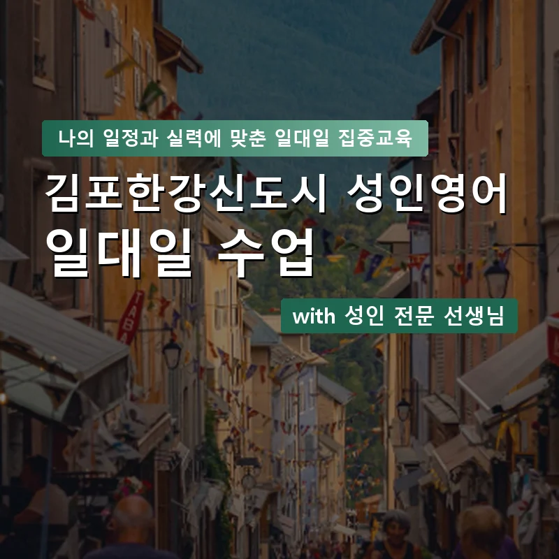 김포한강신도시 성인영어과외 — 영과전 1:1 맞춤 수업 안내 이미지