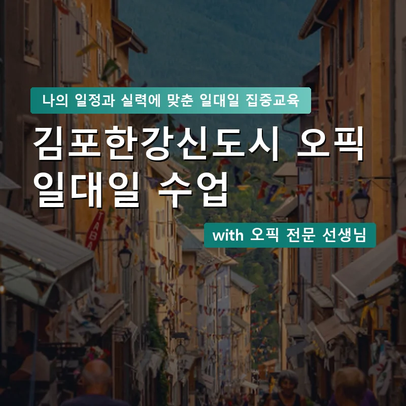김포한강신도시 오픽과외 — 영과전 1:1 맞춤 수업 안내 이미지