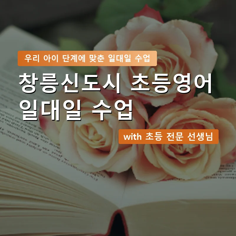 창릉신도시 초등학생영어회화 — 영과전 1:1 맞춤 수업 안내 이미지