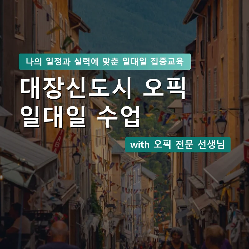 대장신도시 오픽과외 — 영과전 1:1 맞춤 수업 안내 이미지