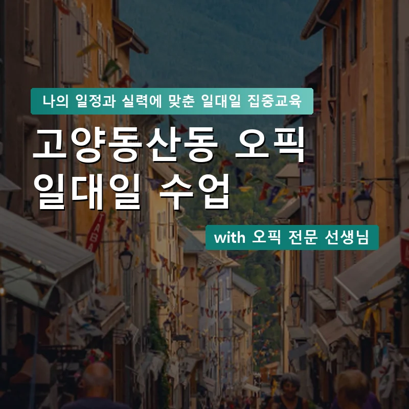 고양동산동 오픽과외 — 영과전 1:1 맞춤 수업 안내 이미지